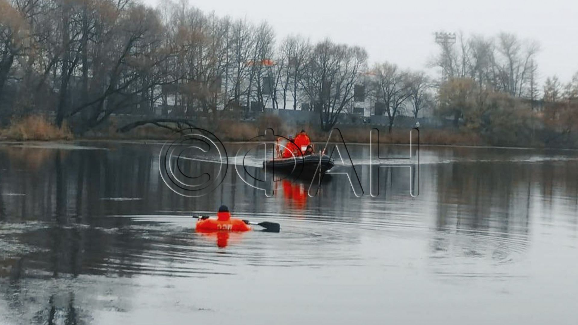 ФАН публикует фото с места обнаружения женских ампутированных ног в Колпино