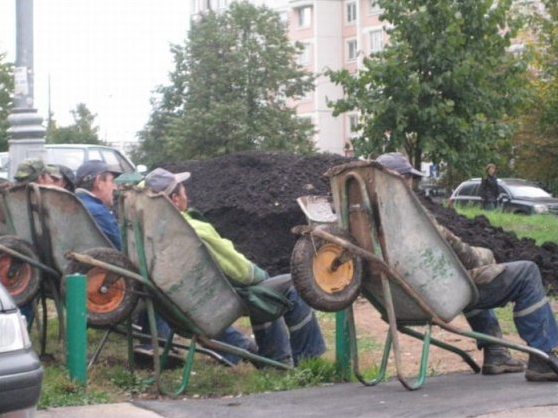 Юмор