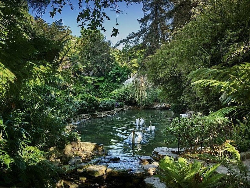 Удивительные существа из глубин океана Удивительные существа из глубин океана Путешествия,фото