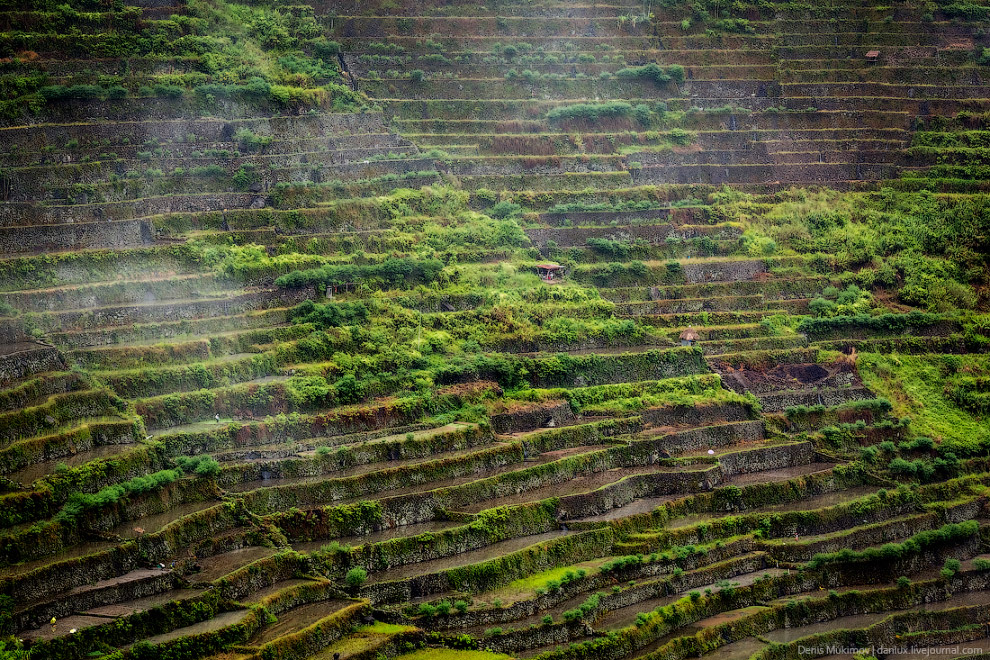Рисовые террасы Банауэ мир,пейзажи,сельское хозяйство,Филиппины