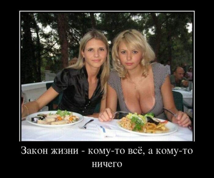 Утренние зачетные демотиваторы про женщин со смыслом Утренние зачетные демотиваторы про женщин со смыслом веселые демотиваторы до слез