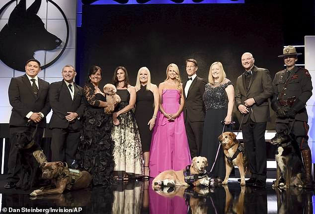 Золотистый ретривер потерял все четыре лапы, но теперь он помогает людям, потерявшим руки или ноги Золотистый ретривер потерял все четыре лапы, но теперь он помогает людям, потерявшим руки или ноги питомцы