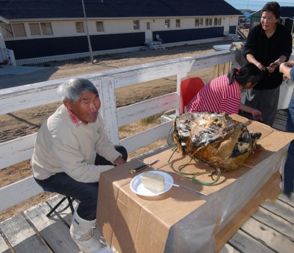 Кивиак — еда не для всех Кивиак — еда не для всех