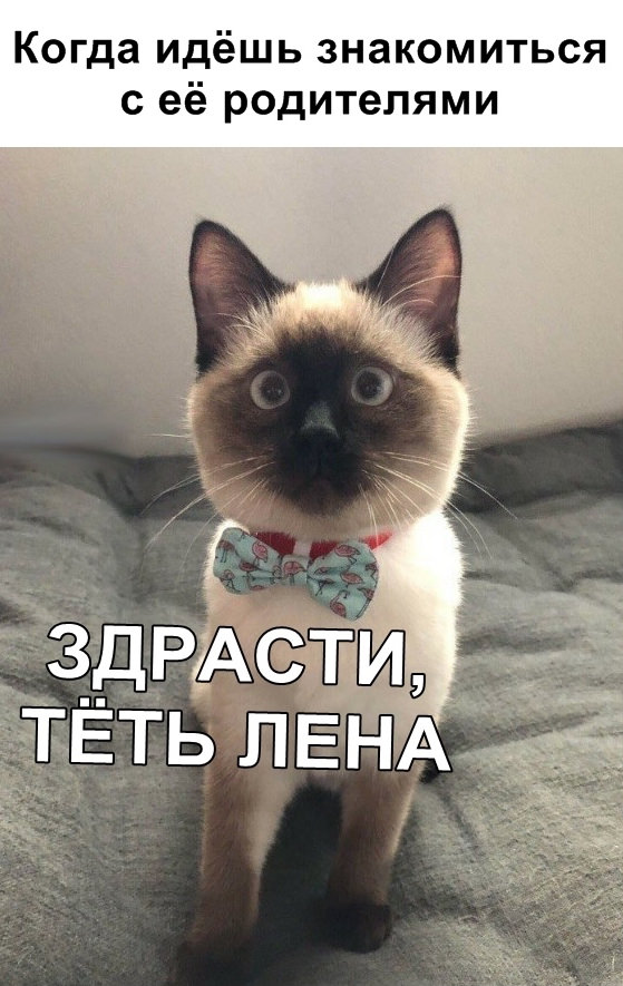 Подборка смешных картинок для поднятия настроения 