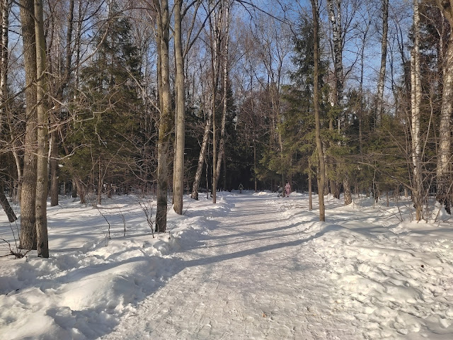 Лосиный остров