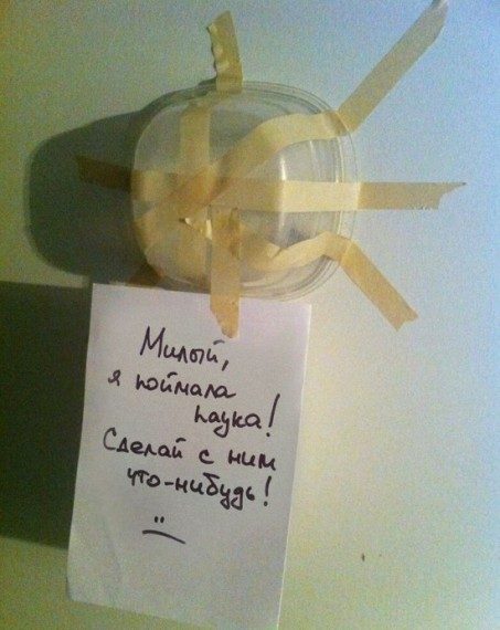 Самые смешные надписи и объявления Самые смешные надписи и объявления