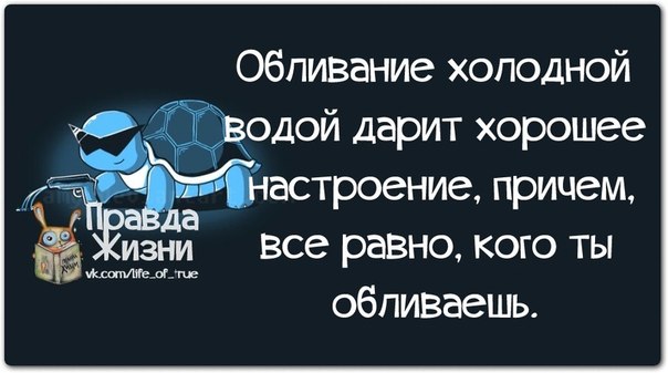 Смешные фразы на картинках Смешные фразы на картинках