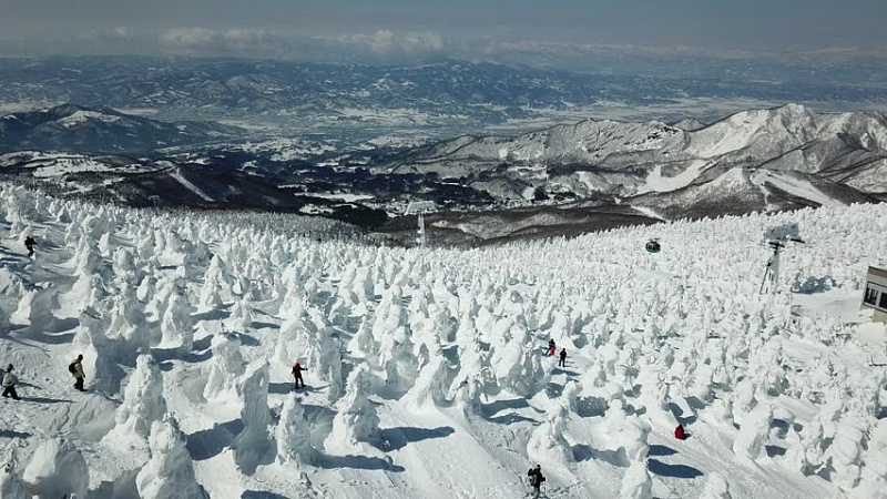 Снежные монстры горы Зао в центральной части Японии авиатур