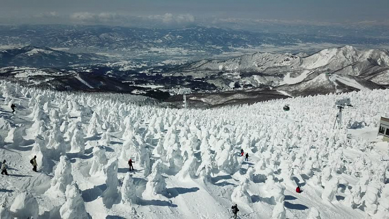 Снежные монстры горы Зао в центральной части Японии Снежные монстры горы Зао в центральной части Японии авиатур