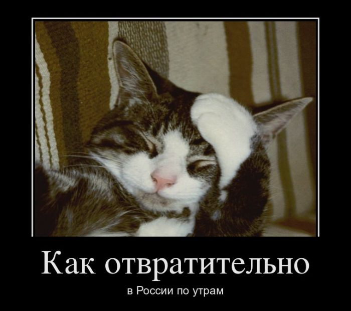 Как отвратительно в России по утрам