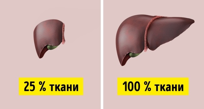 18 фактов о человеческом теле, о которых нам не говорят врачи