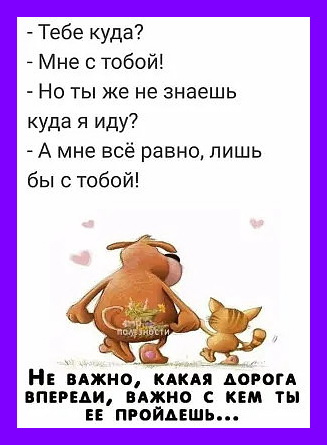 Много свеженького юмора для для чудо-настроения! 