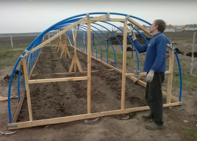Бюджетная теплица из труб ПВХ бюджетная теплица