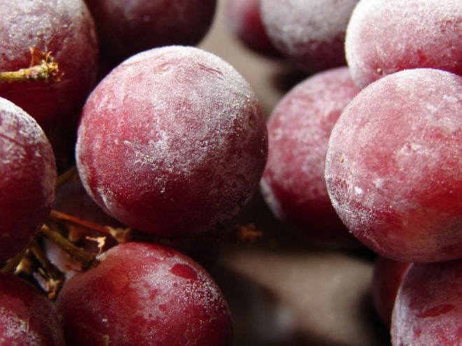 8 крутых идей по заморозке продуктов 8 крутых идей по заморозке продуктов готовим дома,кулинария