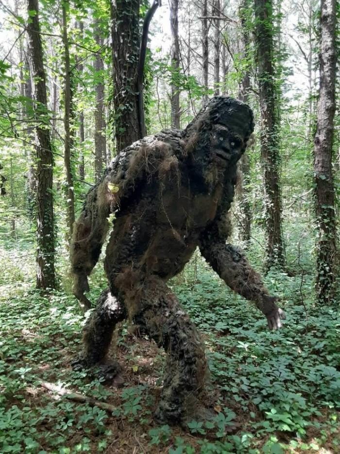 Свежие фотоприколы и смешные картинки 