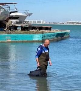 В Анапе волонтеры «выгуливают» у берега моря обессилевшего дельфина