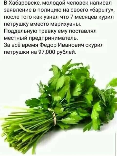 Если посмотреть фильм про золушку задом наперед, то это кино расскажет о том, как женщина познает свое место в жизни помню, какие, теперь, чтобы, которые, когда, посмотреть, еврей, симпатичная, девушка, пожилой, всматриваясь, пристально, сукаПо, говорит, Девушка, Дерибасовской, набитая, умная, поворачивается