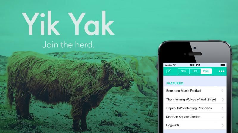 yak
