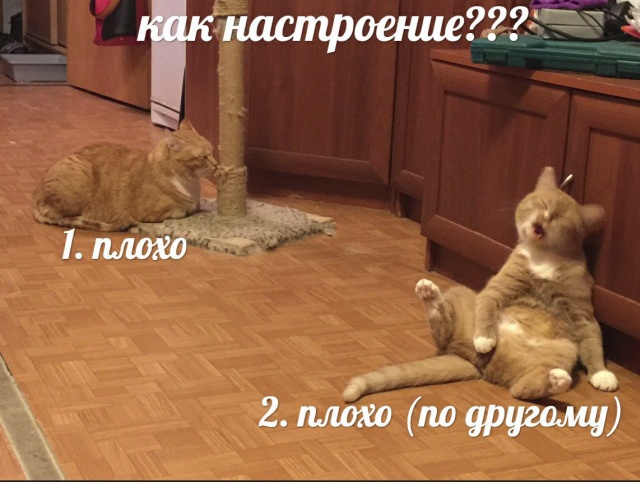 Подборка прикольных картинок  смешные картинки