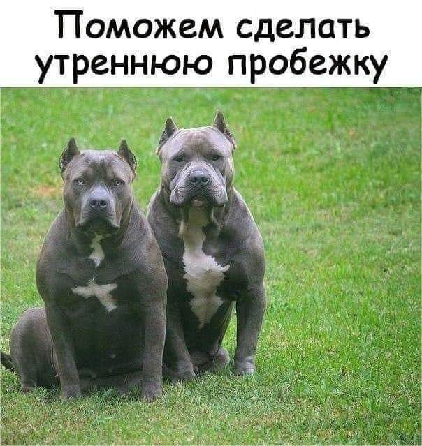 Приколы для расслабона Приколы для расслабона