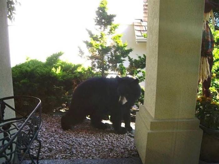 Веселые и позитивные фотографии для улыбки Веселые и позитивные фотографии для улыбки