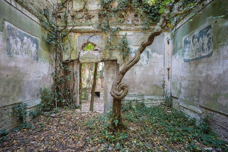 20 снимков заброшенных мест, на которых природа победила всех 20 снимков заброшенных мест, на которых природа победила всех