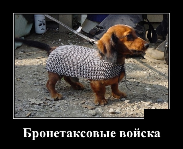 Позитивные, смешные и зачетные демотиваторы для веселья и хорошего настроения на весь день демотиваторы свежие,приколы,смешные демотиваторы,юмор