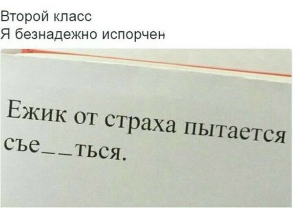— Я же просила одну бутылку купить! — Одной не было! анекдоты,веселые картинки,приколы,юмор