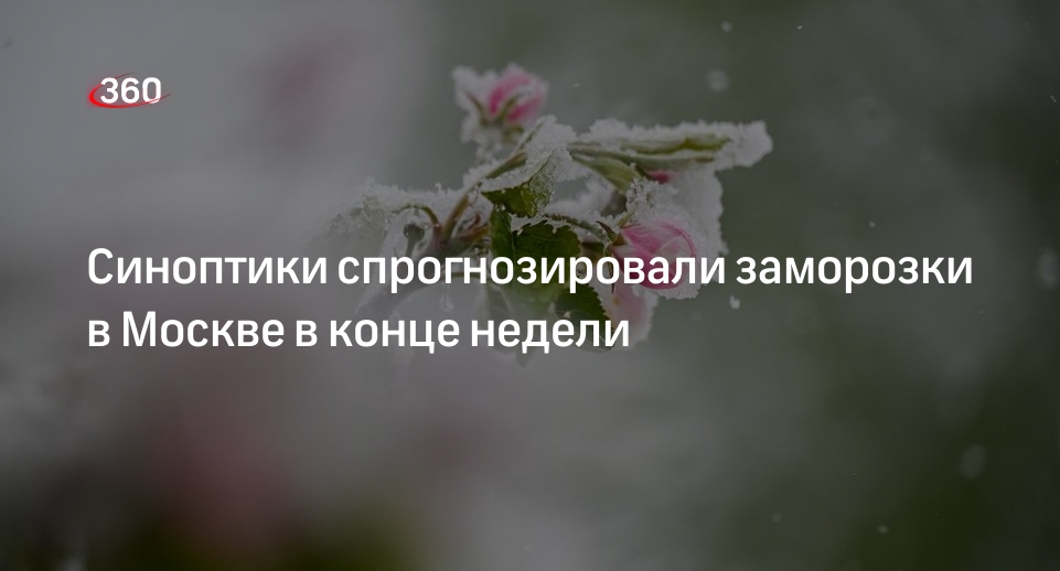 Синоптик Вильфанд: в ночь на 4 мая в Москве температура опустится ниже нуля