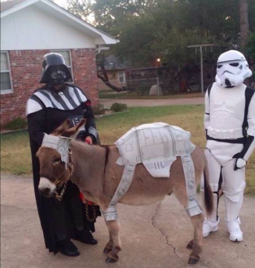 Чуть-чуть не получилось! Чуть-чуть не получилось!