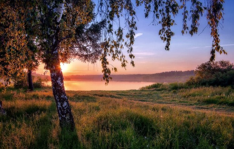 Везде лучше, только не у нас...