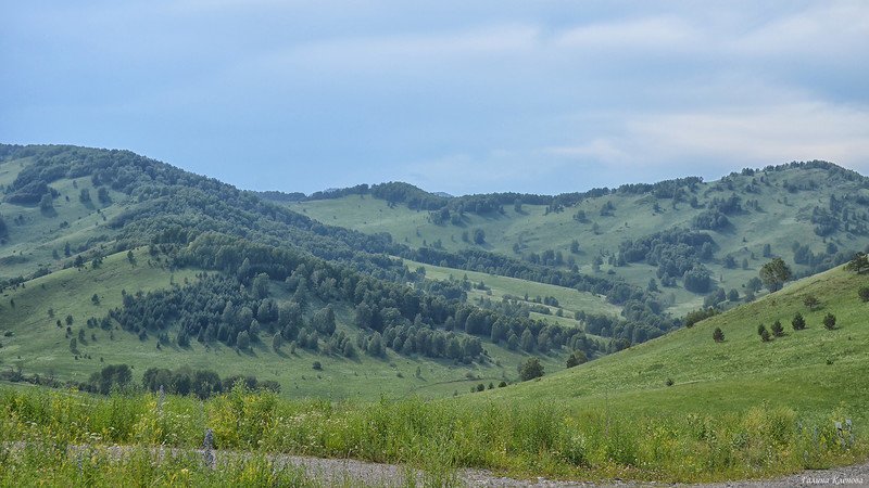 Горный Алтай, июнь путешествия, факты, фото