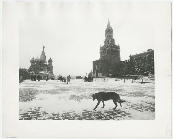 Красная Площадь. Владимир Богданов, 1988 год, г. Москва, из архива МАММ/МДФ.