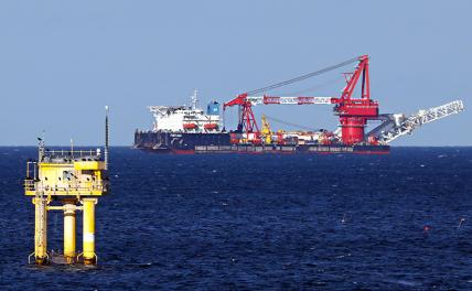 «СП-2» против Baltic Pipe: Русские укладывают в сутки 1,3 км трубы, а поляки — 4 км «СП-2» против Baltic Pipe: Русские укладывают в сутки 1,3 км трубы, а поляки — 4 км геополитика
