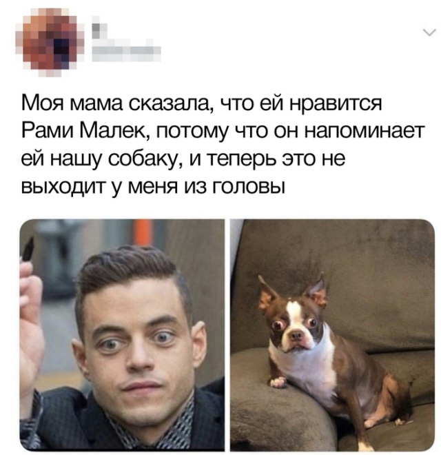 Труд из обезьяны сделал уставшую обезьяну! анекдоты,веселье,демотиваторы,приколы,смех,юмор