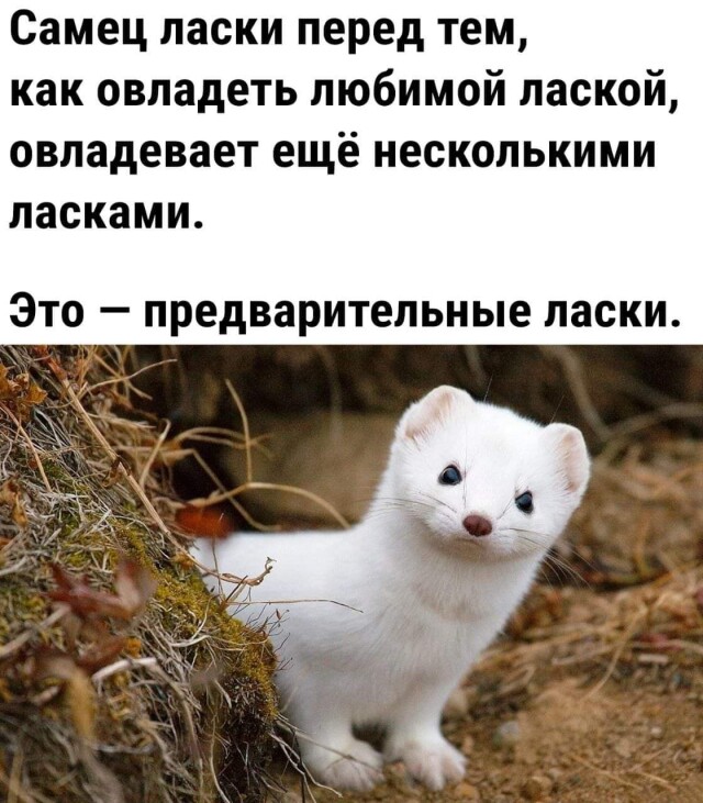 Фото приколы выходного дня 