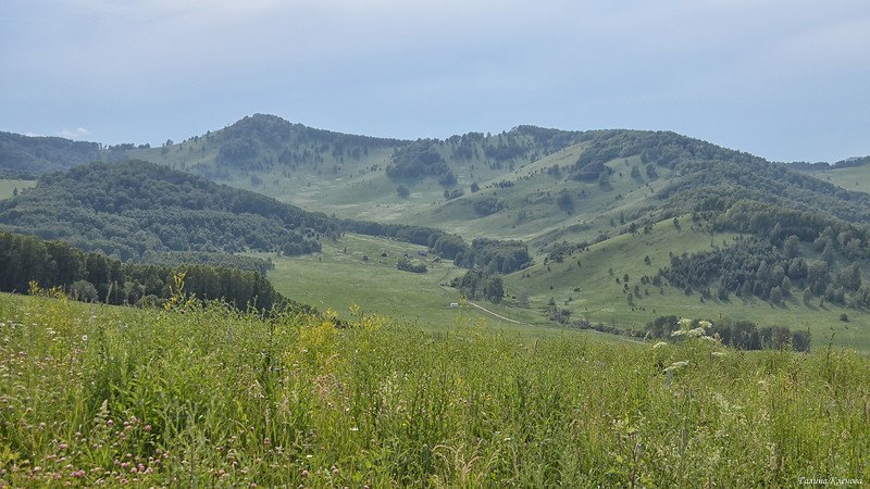 Горный Алтай, июнь путешествия, факты, фото