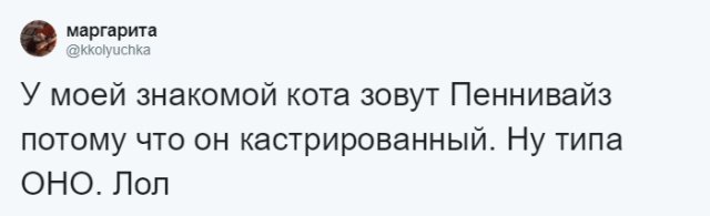 Пользователи соцсетей о необычных кличках домашних питомцев юмор