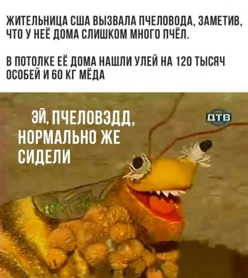 Прикольные картинки дня (55 шт)