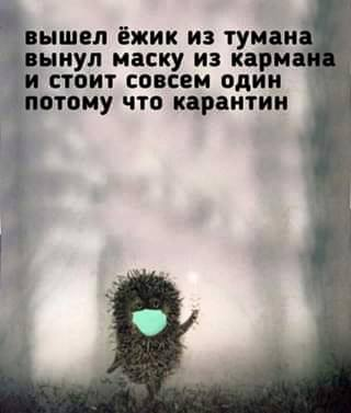 Шутки для тех, кто не любит скучать дома 