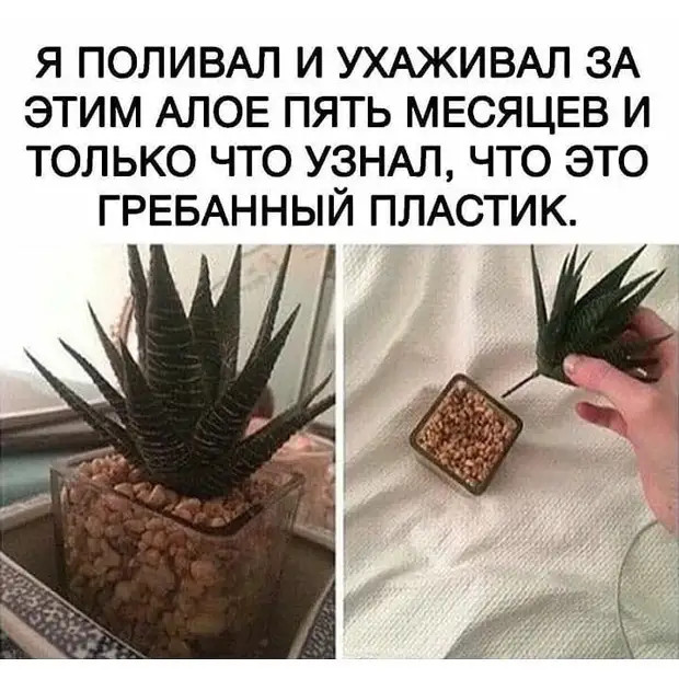 Женщины, притащить мужика к алтарю – это вам не за конями гоняться, останавливать их на скаку и по горящим избам метаться! Женщины, притащить мужика к алтарю – это вам не за конями гоняться, останавливать их на скаку и по горящим избам метаться! говорит, когда, связь, мастер, интимную, очень, счастье, отвечает, козел, положишь, гроба, любовницы, столетия, своего, видишь, юбилярша, стоятВ, очереди, провожают, участковому