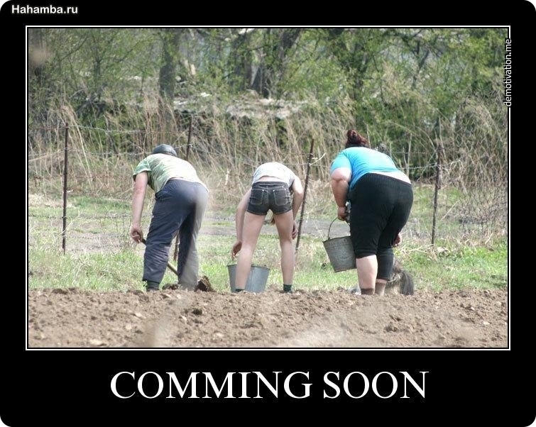 Всем самоизолироваться и кормиться на дачах!