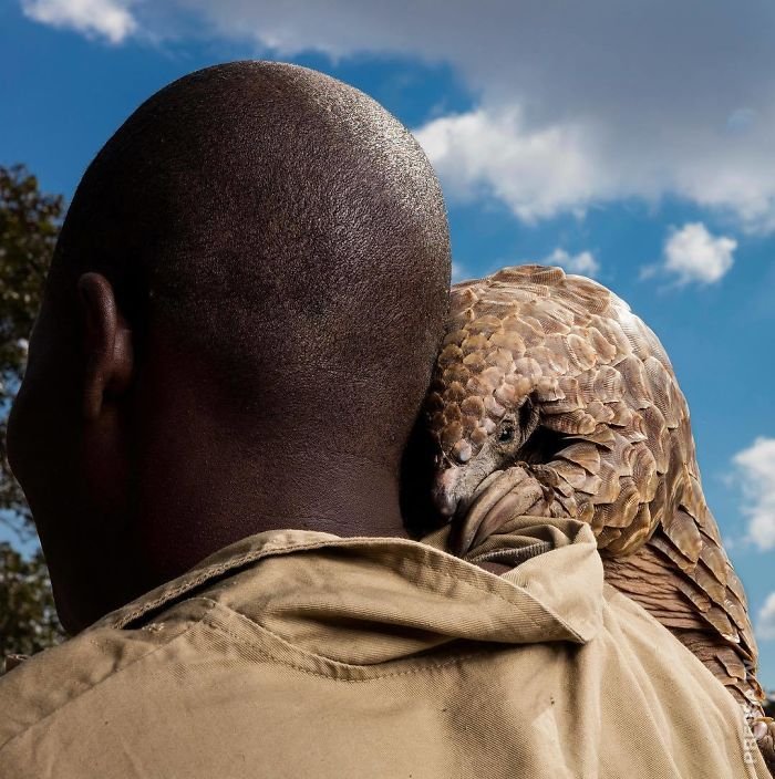 Победители конкурса "The National Geographic Instagram" 