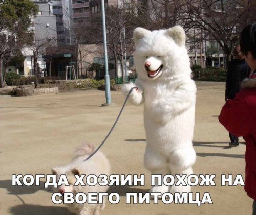 Новая порция фотомемов