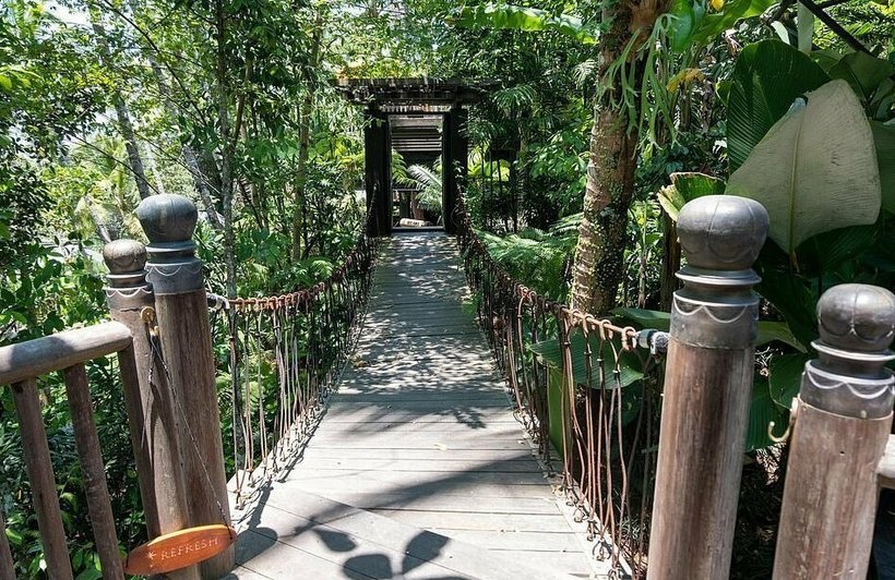 Удивительные существа из глубин океана Удивительные существа из глубин океана Путешествия,фото