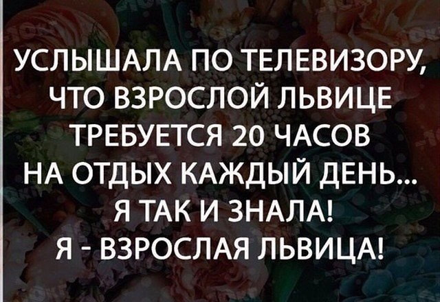 Мне говорили, что на грабли не стоит дважды наступать, но ничего не говорили про третий и четвертый раз... приколы