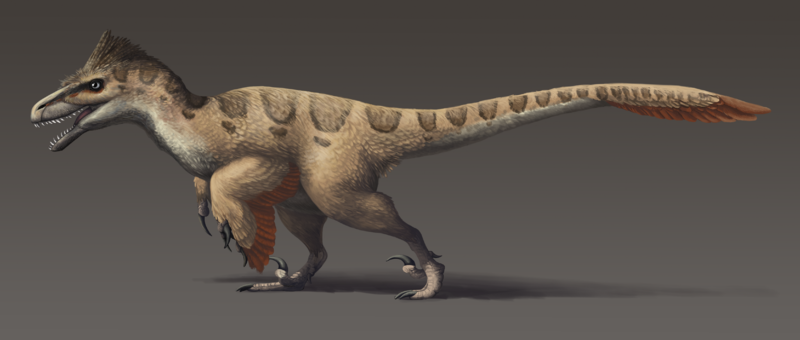 Utahraptor_updated