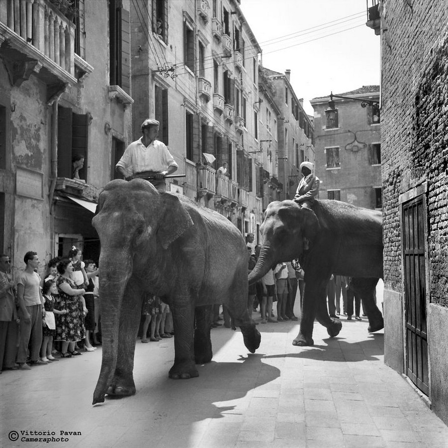 Редкие фотографии известных людей, отдыхающих в Венеции в 1950-60-е годы 24
