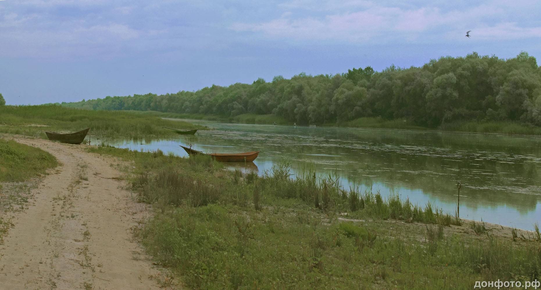 Река Тихая Верхнедонской район
