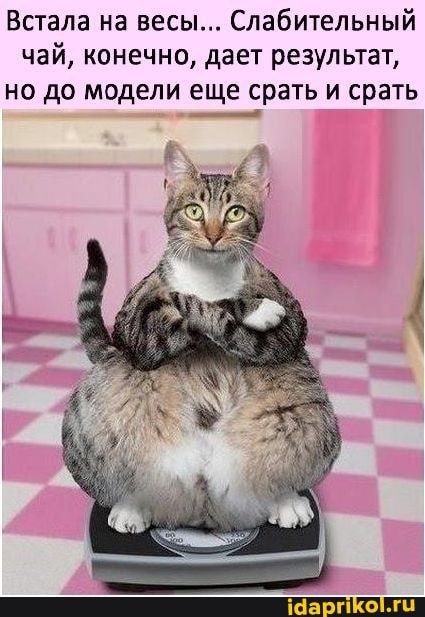 Смех – лучшее средство для поднятия настроения Смех – лучшее средство для поднятия настроения